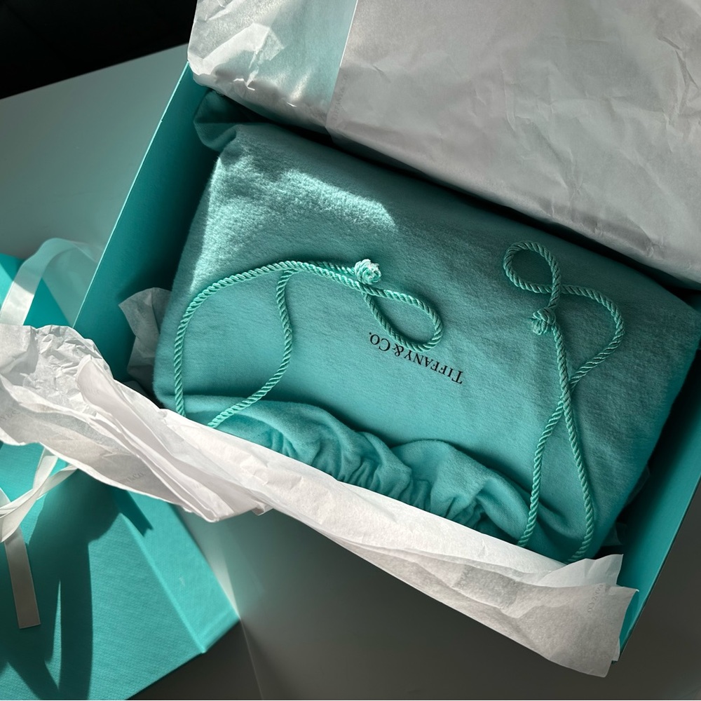 Tiffany &Co cosmetic bag /pouch  Color Block brand NEW
